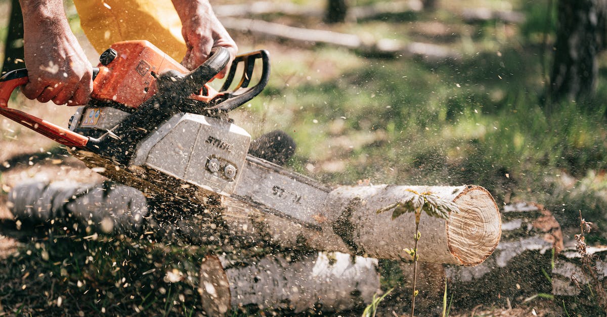 Person Holding Chainsaw