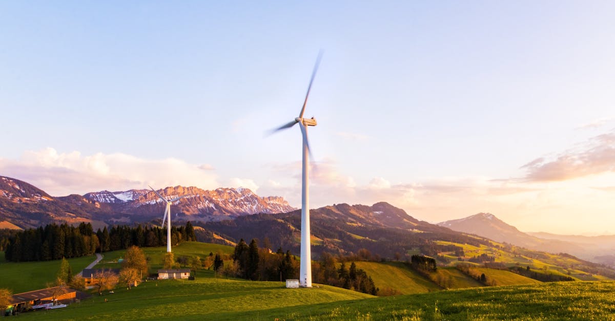 White Windmill