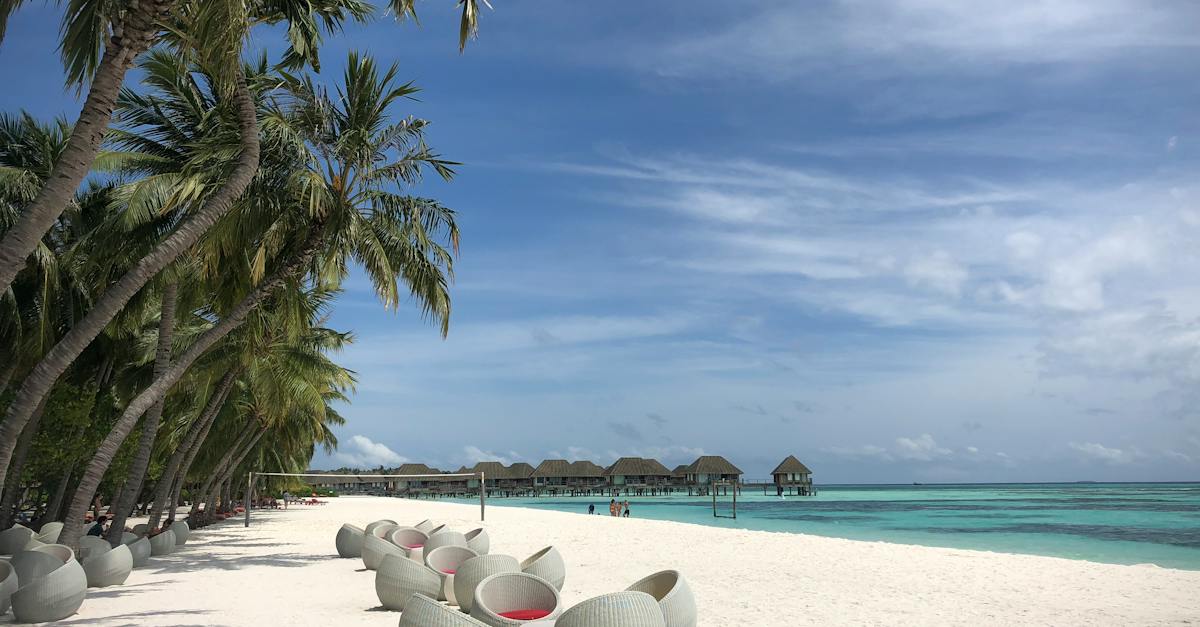 The Scenic View of the Beach and the Overwater Bungalows