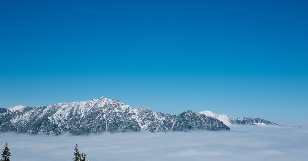 Side view of unrecognizable tourist in outerwear on skis exploring snowy mount under cloudless sky