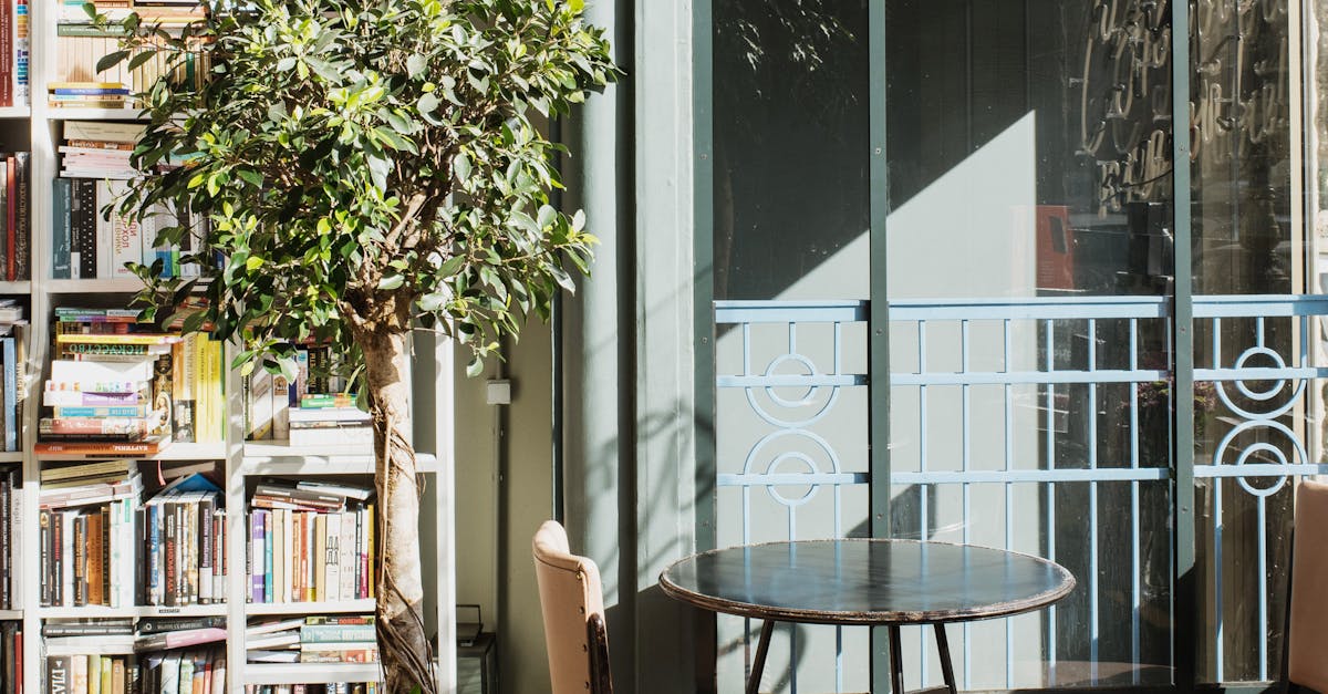 Round tables with leather chairs put near potted green tree and bookshelf close to fenced window and transparent hanging lamp in sunlight