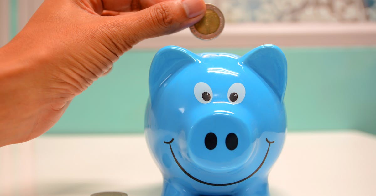 Person Putting Coin in a Piggy Bank