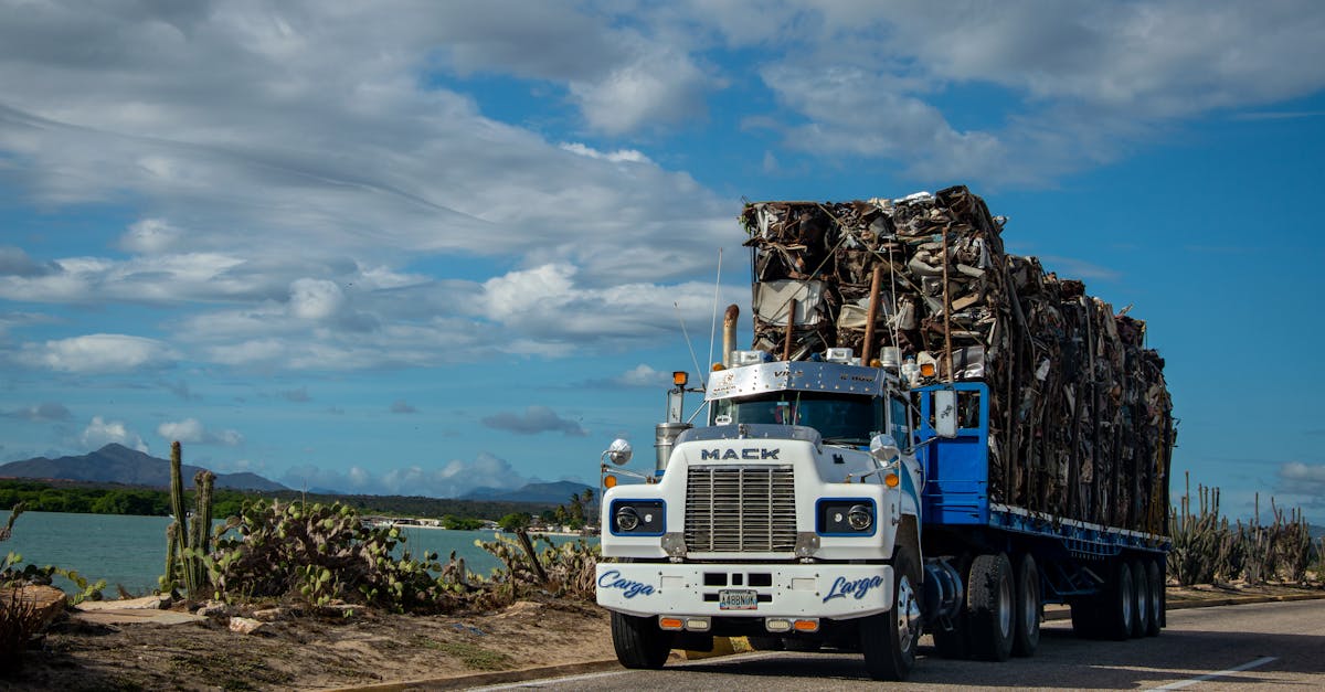 A truck hauling logs down the road next to a body of water