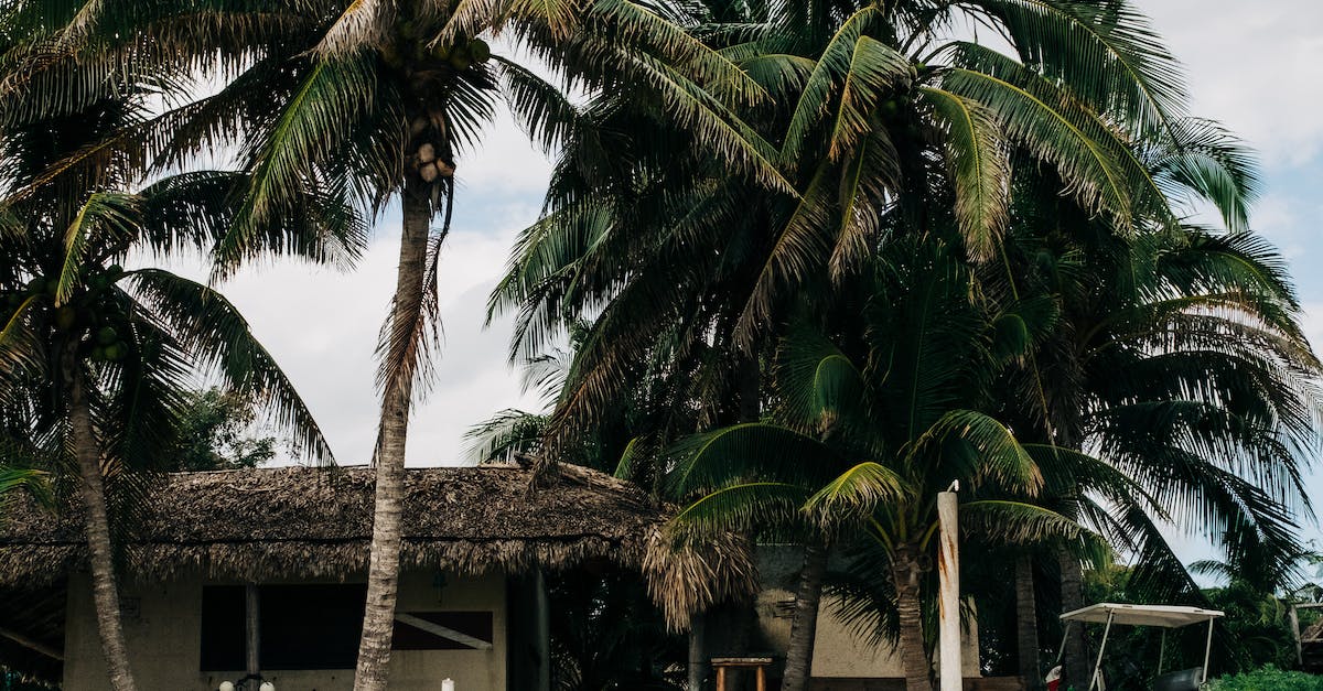 A House on Cozumel Island in Mexico 