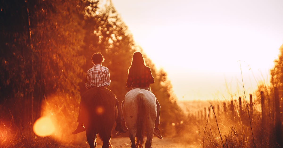 Children riding stallions in countryside at bright sundown